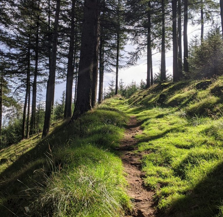 Immersive Spanish Learning Holiday in the Peak District